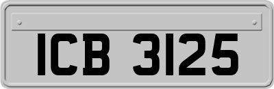 ICB3125