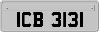 ICB3131