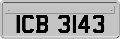 ICB3143