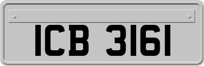 ICB3161