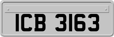 ICB3163