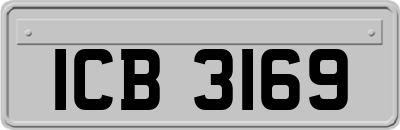 ICB3169