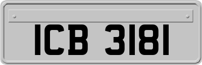 ICB3181