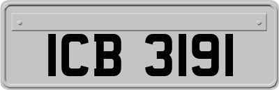 ICB3191