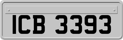 ICB3393