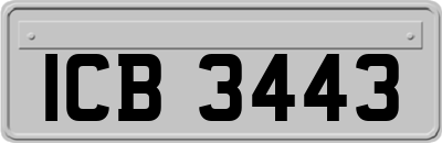 ICB3443