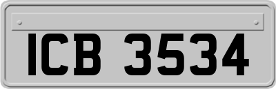 ICB3534