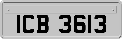 ICB3613