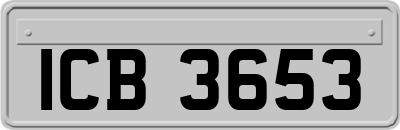 ICB3653
