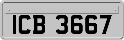 ICB3667