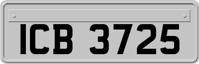 ICB3725