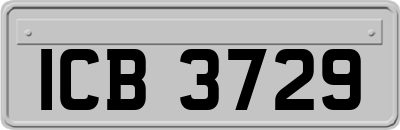 ICB3729