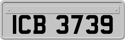 ICB3739