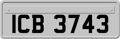 ICB3743