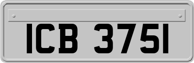 ICB3751