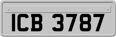 ICB3787