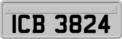 ICB3824