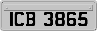 ICB3865
