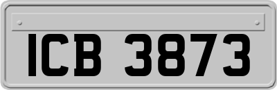 ICB3873