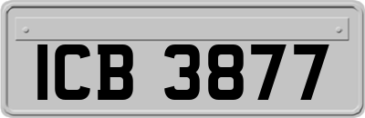 ICB3877
