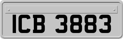 ICB3883
