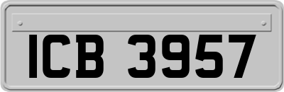 ICB3957