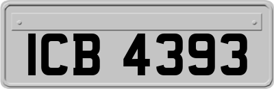 ICB4393