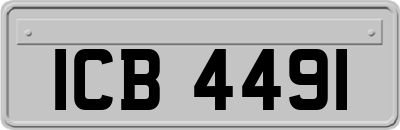 ICB4491