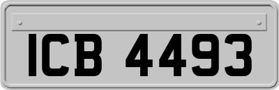 ICB4493