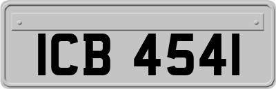 ICB4541