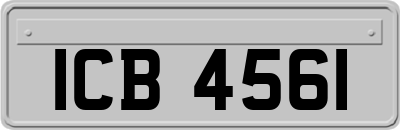 ICB4561