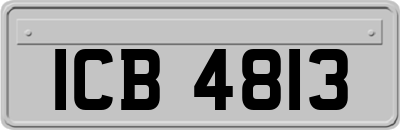 ICB4813