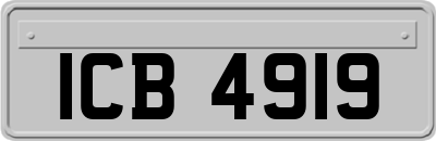 ICB4919