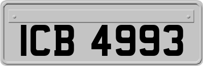 ICB4993