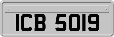ICB5019