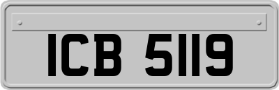 ICB5119