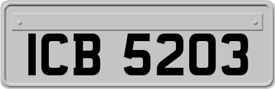 ICB5203