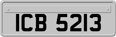 ICB5213