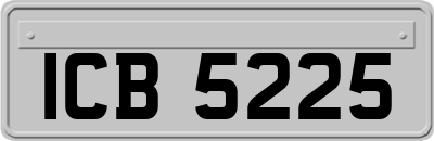 ICB5225