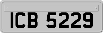 ICB5229