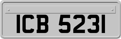 ICB5231