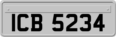 ICB5234