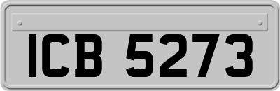 ICB5273