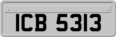 ICB5313