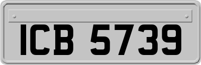 ICB5739