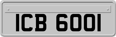 ICB6001