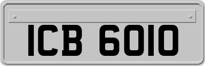 ICB6010