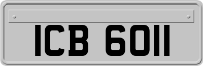 ICB6011