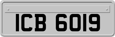 ICB6019