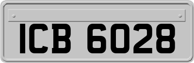 ICB6028